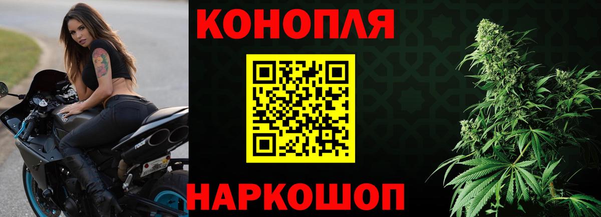 Бошки марихуана конопля  МАРИХУАНА THC 21%  Сосновый Бор  Вход с VPN  МАРИХУАНА семена 